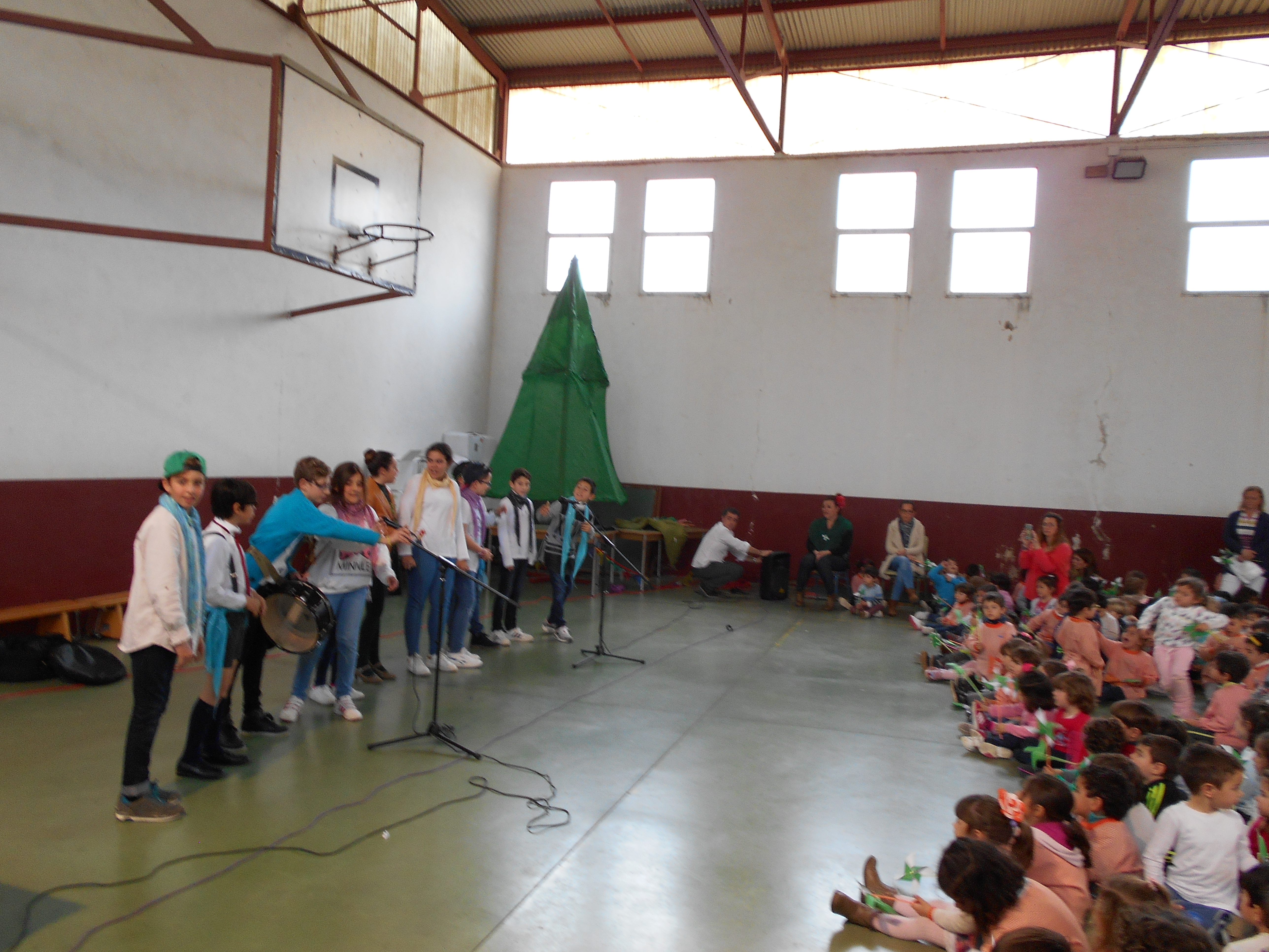 CHIRIGOTA
