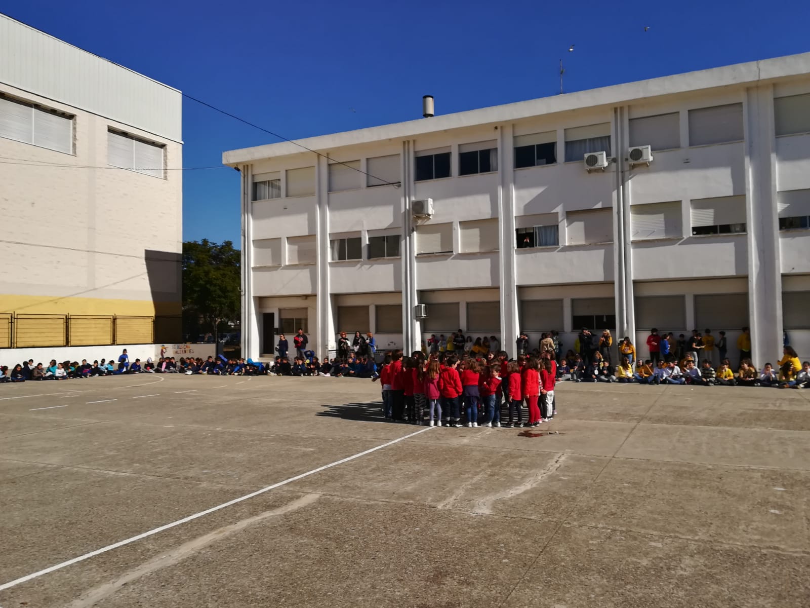 IMG 20190208 WA0009